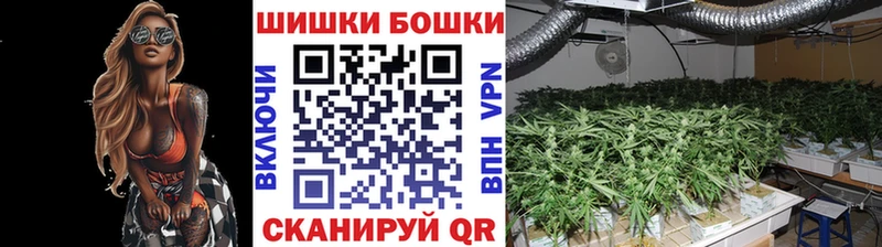 Шишки марихуана конопля  Купить  Морозовск 